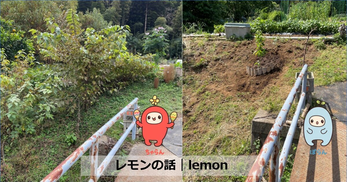 Lemon of Kamakura｜Zone 9 Japan のレモン畑プロジェクト